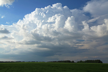 A huge cumulus and cumulonimbus clouds on the blue sky background over wheat field in European woodlands