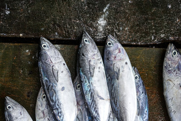 Fish market in Asia. Catching sea and ocean animals in the Indian Ocean. Tuna on shelves for sale....