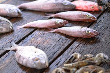 Fish market in Asia. Catching sea and ocean animals in the Indian Ocean. Tuna on shelves for sale. Exotic background