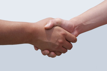 Handshake isolated on a white background.