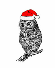 Vector owl in Santa Claus hat isolated on white background,graphical illustration