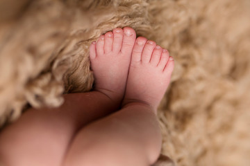 Newborn Baby Girl Feet on brown flokati