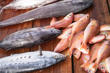 Fish market in Asia. Catching sea and ocean animals in the Indian Ocean. Tuna on shelves for sale. Exotic background