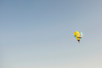 Bird Hot Air Balloon In Flight