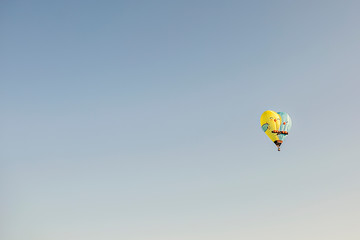 Bird Hot Air Balloon In Flight