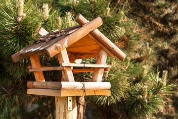 Wooden bird feeder near forest. Feeding birds. Home production feeders.