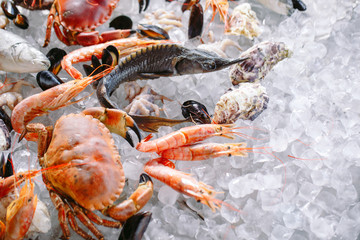 Seafood on ice. Crabs, sturgeon, shellfish, shrimp, Rapana, Dorado, on white ice.
