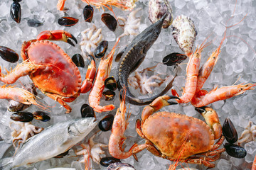 Obraz na płótnie Canvas Seafood on ice. Crabs, sturgeon, shellfish, shrimp, Rapana, Dorado, on white ice.