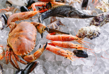 Seafood on ice. Crabs, sturgeon, shellfish, shrimp, Rapana, Dorado, on white ice.