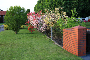 Nowoczesne ogrodzenie i kwitnące drzewa wokół domu jednorodzinnego chodnik, droga. - obrazy, fototapety, plakaty