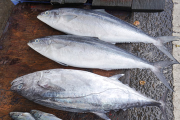 Fish market in Asia. Catching sea and ocean animals in the Indian Ocean. Tuna on shelves for sale....