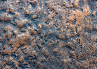 Rusty texture of old metal kitchen surface.