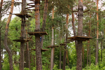 Outdoor forest rope park in summer day - climbing sports