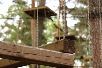 Outdoor rope park in forest in summer day, climbing sports