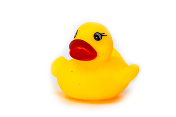 Rubber bath duck isolated on white. A side view of a yellow rubber duck.
