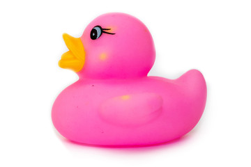 Rubber bath duck isolated on white. A side view of a pink rubber duck.