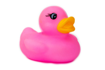 Rubber bath duck isolated on white. A side view of a pink rubber duck.
