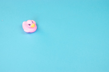 Rubber bath duck on colorful background. Top view on toy rubber duck. Toy play for kid ducky floating.  Blue background.