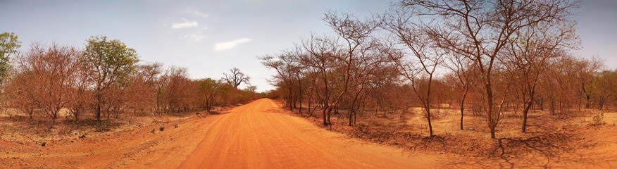 African road in Senegal. Panorama.