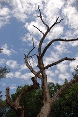 Athens, Greece / May 2019: The archaeological site of the Ancient Agora of Athens.