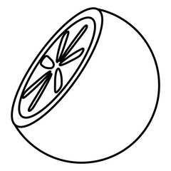 fresh orange half citrus fruit