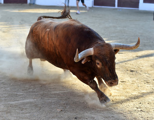 toro español