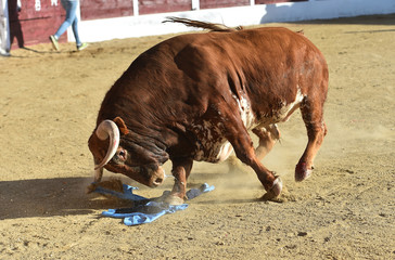toro español