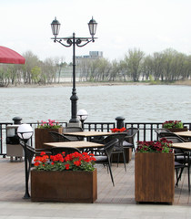     deserted morning cafe decorated with red geranium flowers