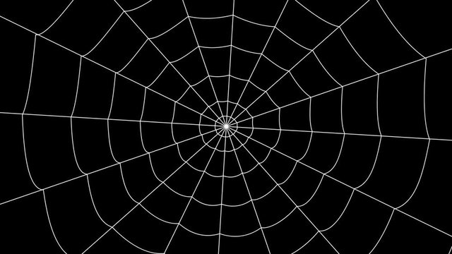 few cobwebs move against a black background