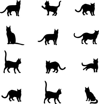 cats pattern, vector, art, black cats, monochrome,  black, white, contour, silhouette, animals, set, isolated, kitten, kitty, cat trail, clip art, picture, style design, décor, interior, illustration