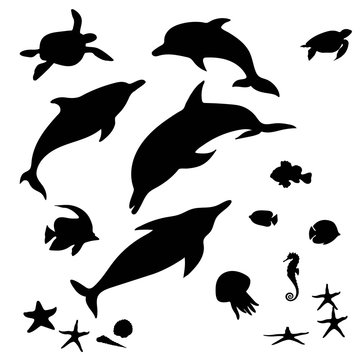 monochrome,  black, white, contour, silhouette, tattoo, monochrome,  black, white, contour, silhouette, tattoo, dolphin, turtle, star fish, jelly fish, sea horse