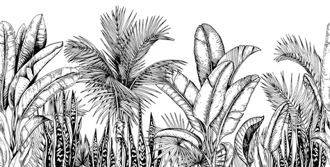 Meubelstickers Naadloze horizontale lijn met tropische palmbomen, bananenbladeren en slangenplanten. Zwart en wit. Hand getekend vectorillustratie. © JeannaDraw