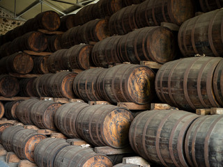 Old rum/whiskey barrels stored away while maturing