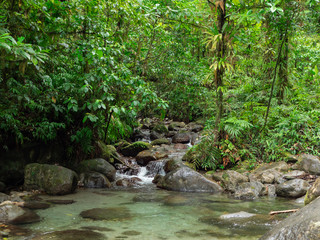 Naklejka na ściany i meble Jungle, rain forrest stream of water flowing between rocks - small water fall