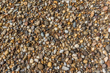 rocks of all sizes littering a beach