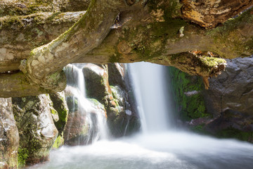 Close up view of a base of a scenic waterfall with blurred motion water and streams framed from above with a branch of an old tree covered by moss