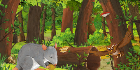 cartoon summer scene with deep forest and bird owl and rat - nobody on scene - illustration for children