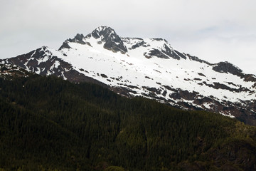 Fototapeta na wymiar Mountain top view with pines