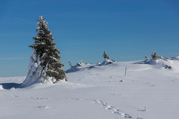 Fototapeta na wymiar Winter landscape of Vitosha Mountain, Sofia City Region, Bulgaria