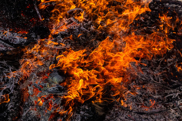 Flaming fire. Burning tree branches. Pagan rite dedicated to the arrival of spring. Big bonfire on Shrovetide. Auto-da-fe, ritual of public punishment, burning at the stake.