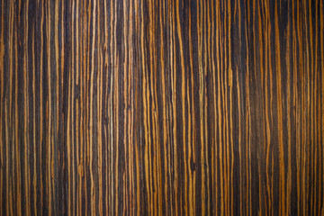 Walnut wood texture