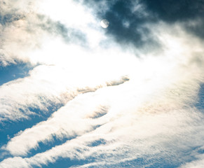  the beauty of nature is simplicity