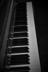 Naklejka premium Piano black and white