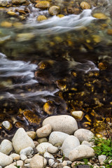 Obraz premium Mountain stream with rocks