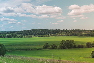 Fototapeta premium Colorful Bright Sunny Green Field Landscape With Blue Cloudy Sky, Trees And Hills