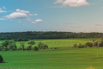 Colorful Bright Sunny Green Field Landscape With Blue Cloudy Sky, Trees And Hills