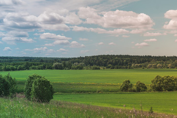 Fototapeta na wymiar Colorful Bright Sunny Green Field Landscape With Blue Cloudy Sky, Trees And Hills