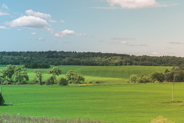 Colorful Bright Sunny Green Field Landscape With Blue Cloudy Sky, Trees And Hills