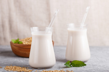 Organic non dairy oats milk in glass and wooden plate with oats seeds on a gray concrete background.