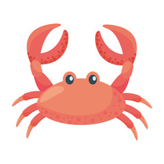 Isolated crab cartoon design vector illustration